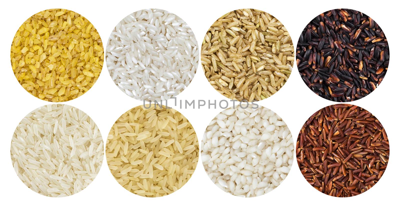 Rice pattern. Different types of rice isolated on white background, top view