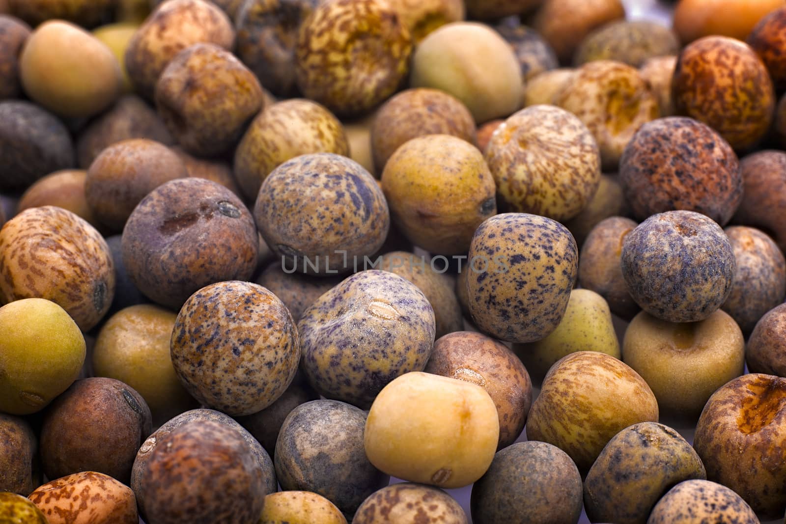 Roveja beans (Pisum sativum var. arvense), also known as robigli by vainillaychile