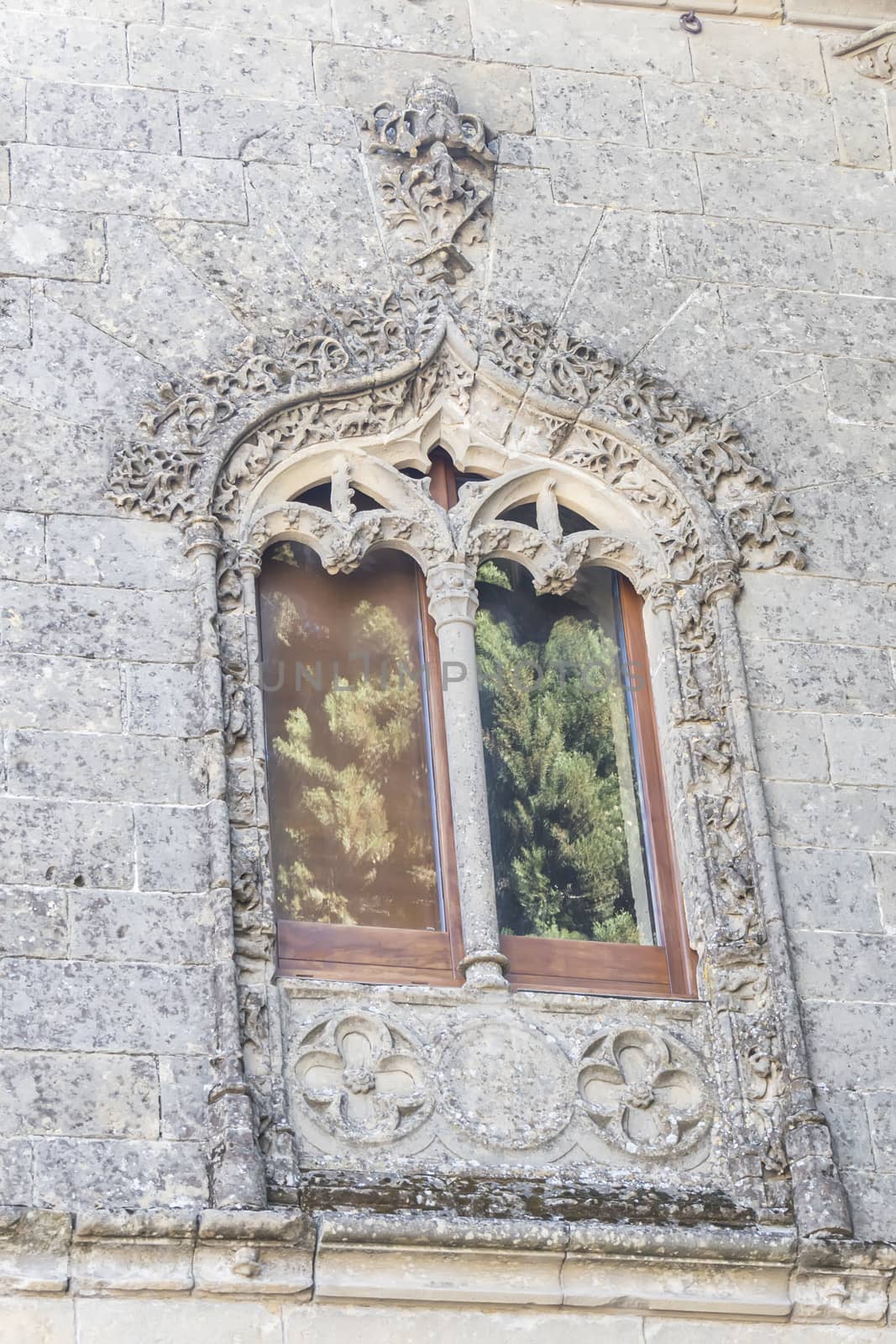 Baeza cathedral window detail, Jaen, Spain by max8xam