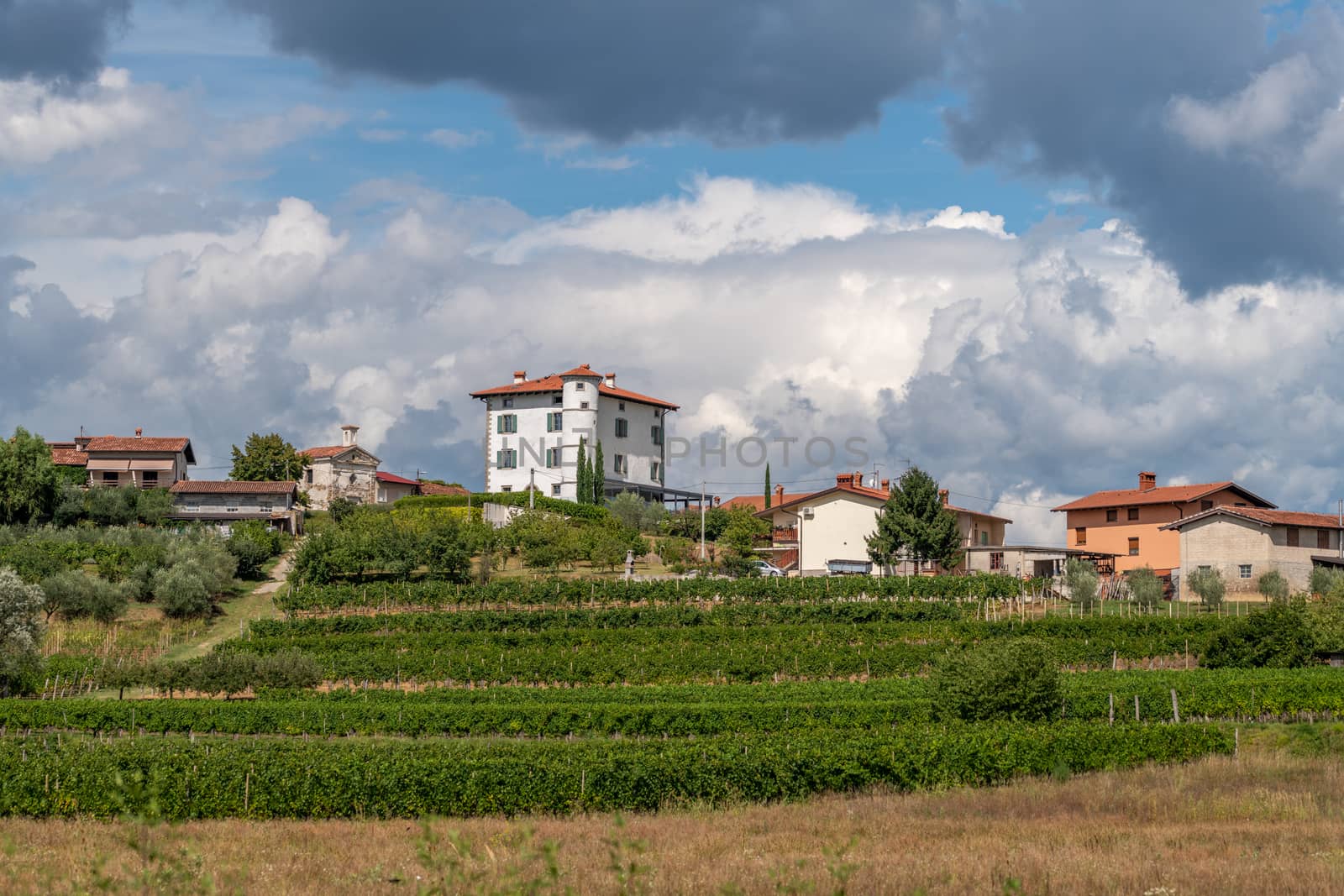 Village of Ceglo, also Zegla in famous Slovenian wine growing region of Goriska Brda, with vineyards and orchards, lit by sun, village on top of hill with villa Gredic and beautiful cloudscape in the sky