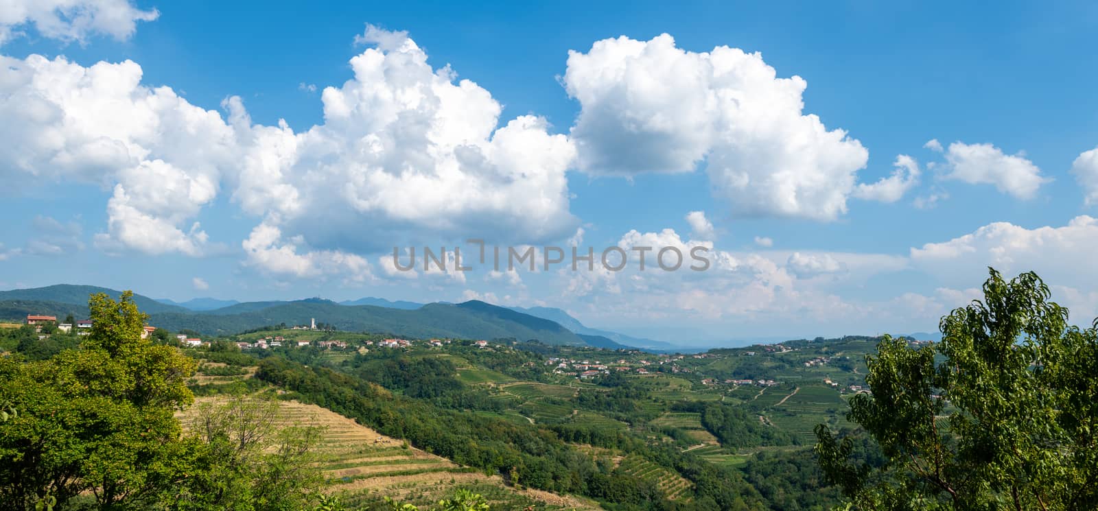 Village of Kojsko, Sloveniain famous wine growing region of Goriska Brda, with vineyards and orchards, lit by sun and clouds in background, holy mountain with church above Nova Gorica in background