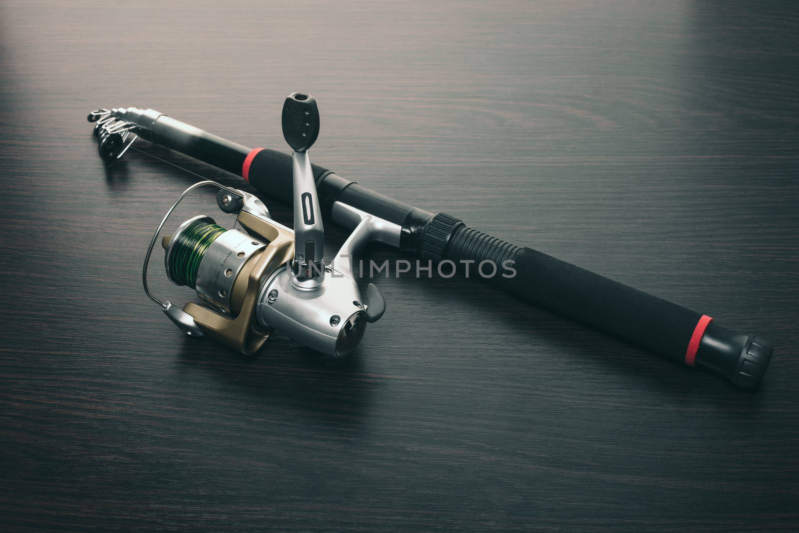 fishing rod with a coil  by MegaArt