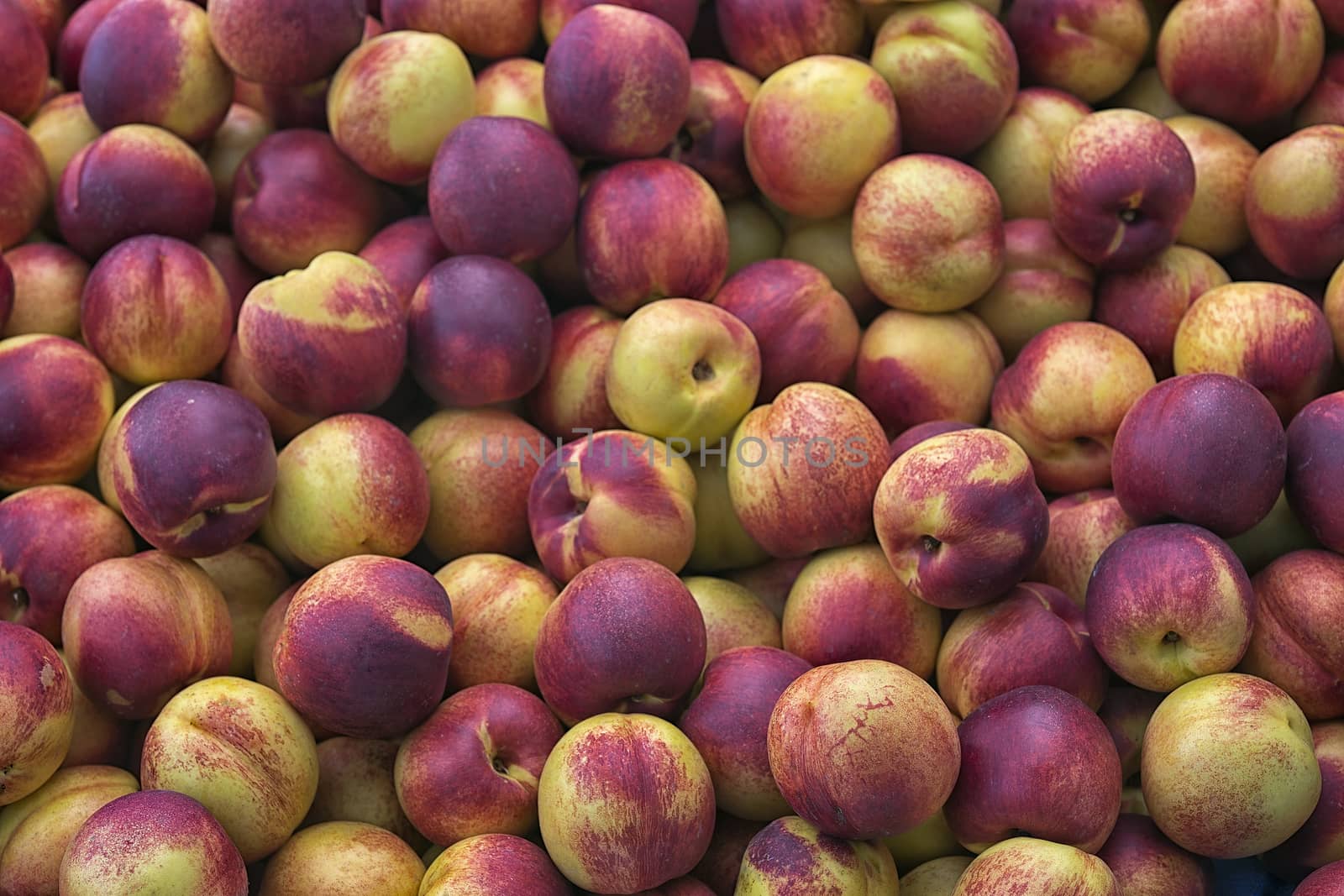 Nectarines (Prunus persica var. nectarina), smooth peel peach, p by vainillaychile