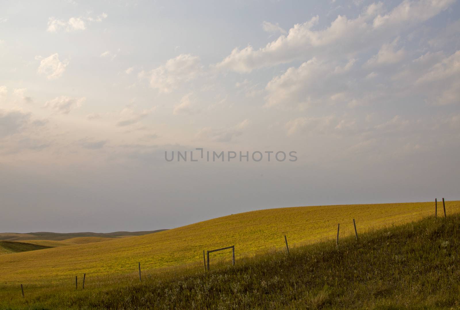 Summer Prairie Scene by pictureguy