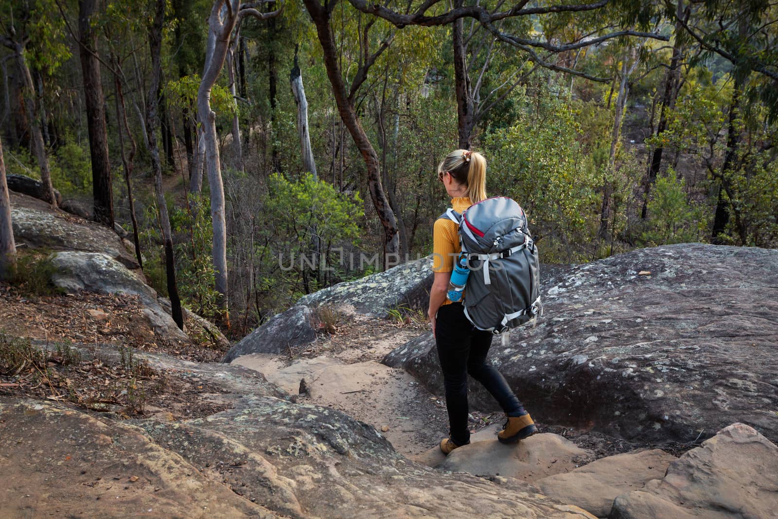 A woman bushwalking Blue Mountains trail by lovleah