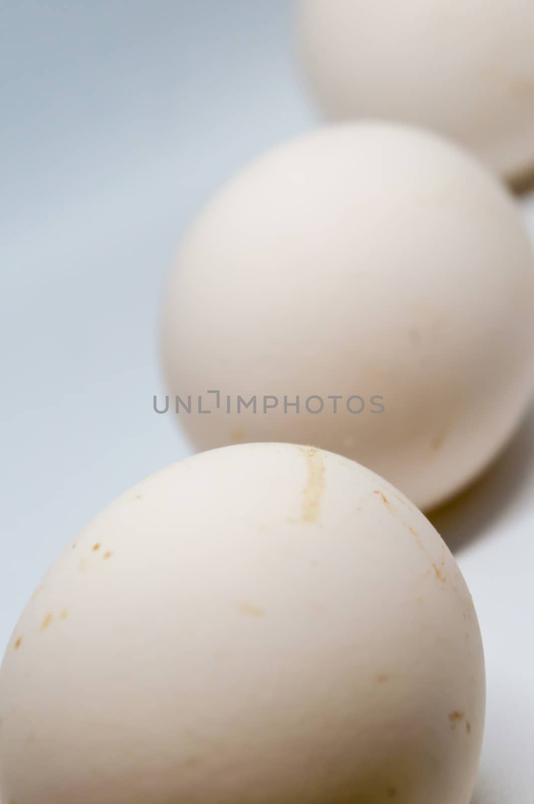 Three eggs isolated over a white background. by sudiptabhowmick