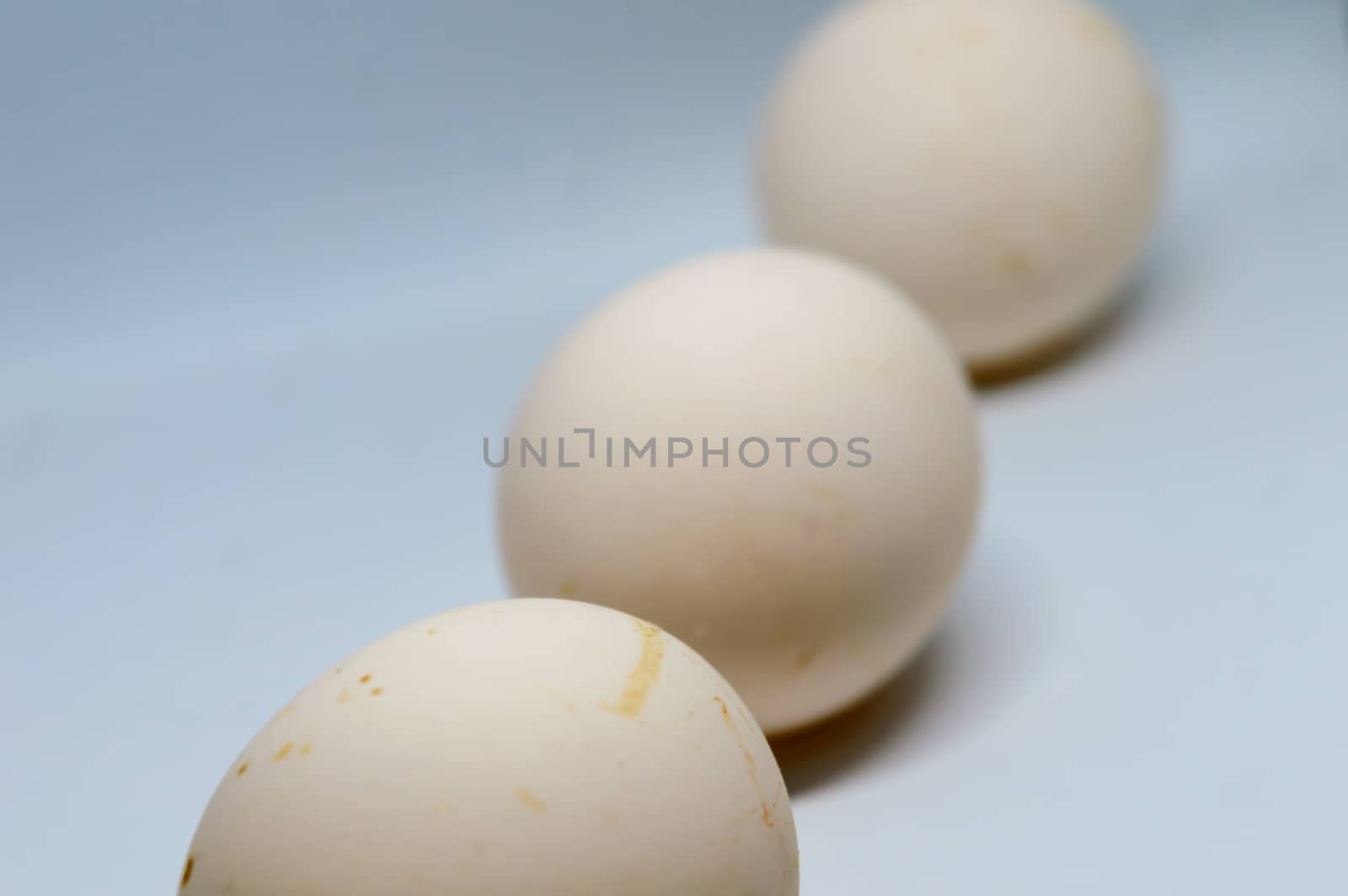 Three eggs isolated over a white background.