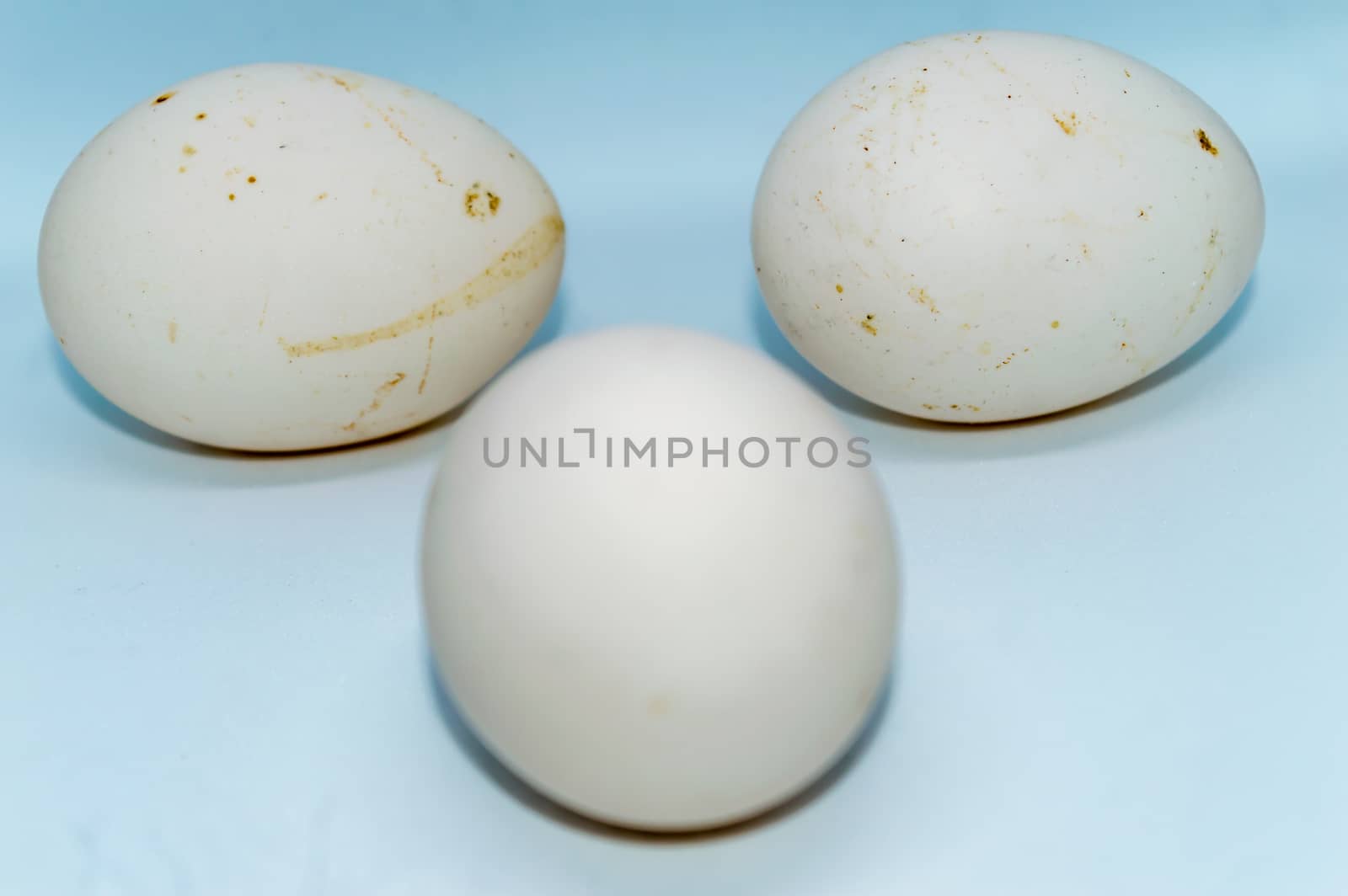 Three eggs isolated over a white background. by sudiptabhowmick