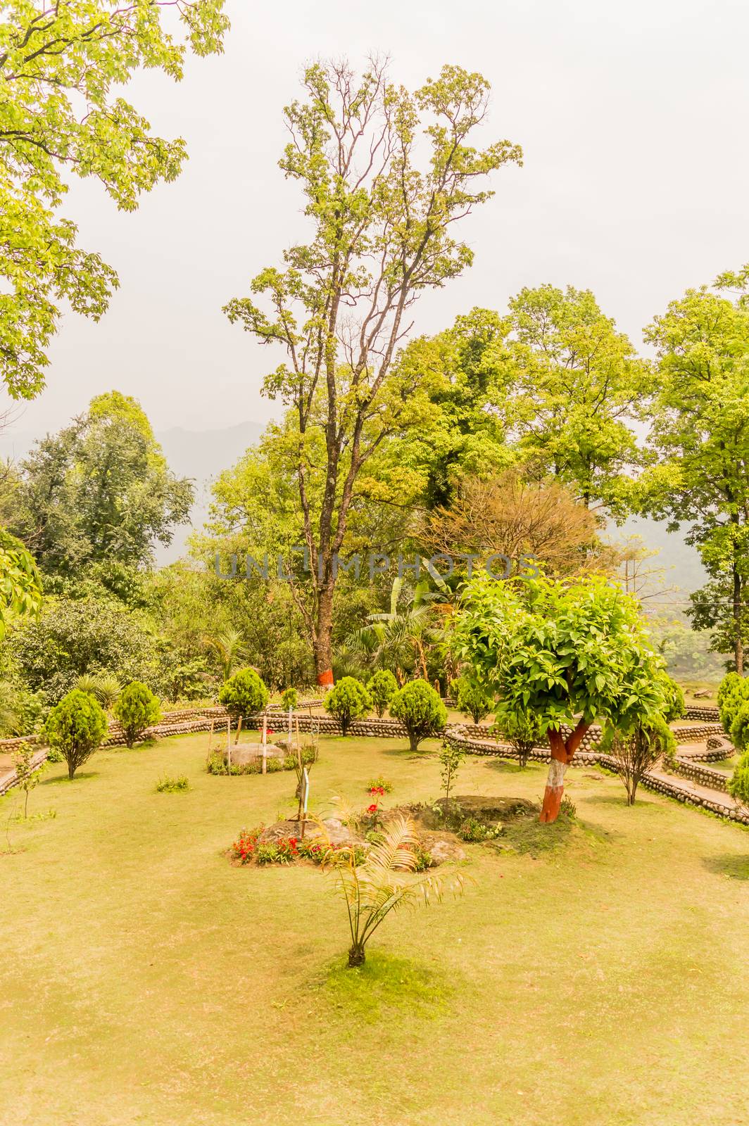 garden with plants and flowers around green field of grass, captured in a sunny day in landscape style. Garden decoration and Exterior interior designing concept.