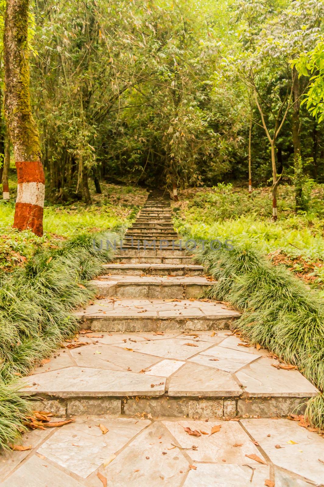 Photograph of Natural stone landscaping in home garden with stairs snapped in landscape wide screen style in daytime on a sunny day. Architecture exterior and interior designing concept.