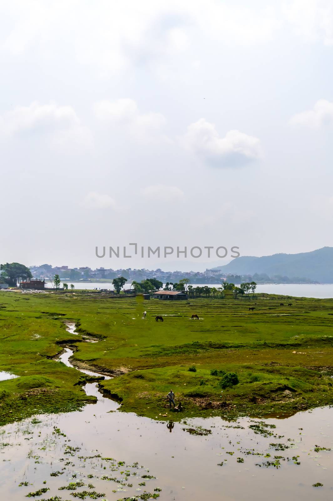 Photograph of beautiful summer landscape on the Shore of Pokhara Lake at Kathmandu Nepal. Snap in portrait, landscape, wide screen style. Vintage film look. Vacation Freedom, Simplicity Concept.