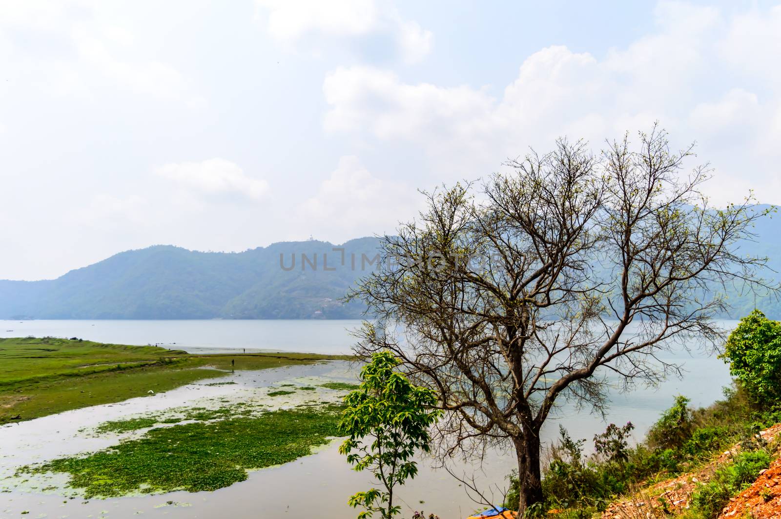 Photograph autumn colored trees on the Shore of Pokhara Lake at Kathmandu Nepal. Snap in portrait, landscape, wide screen style. Vintage film look. Vacation Freedom, Simplicity Concept.