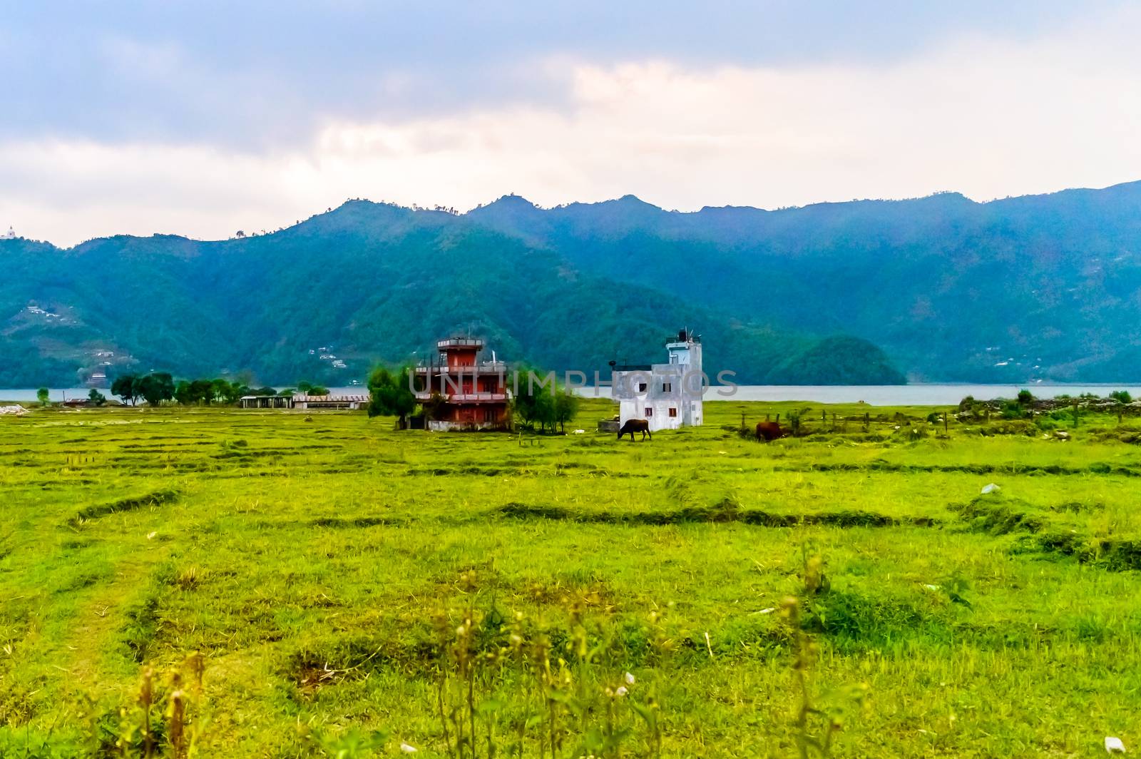 Photograph of winter season: A farm house, lake, mountain, clear sky and farm land. Wide angle landscape of Pokhara Lake at Kathmandu Nepal. Vintage film look. Vacation Freedom, Simplicity Concept. by sudiptabhowmick