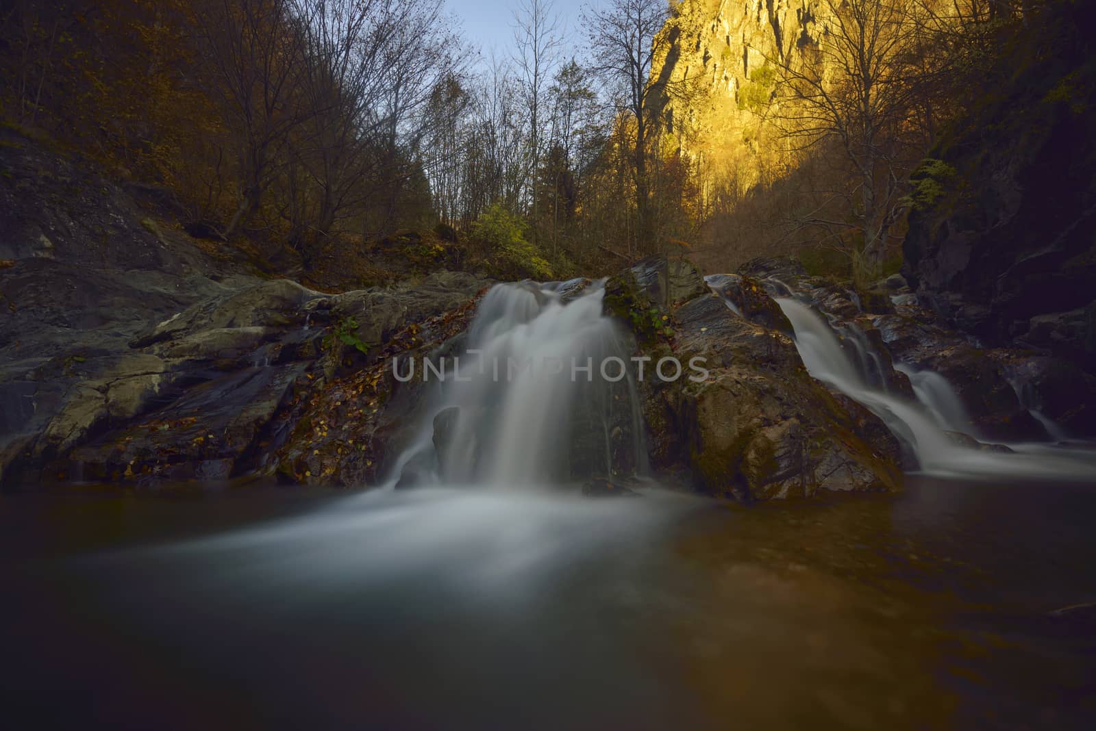 Autumn landscape with trees and river by mady70