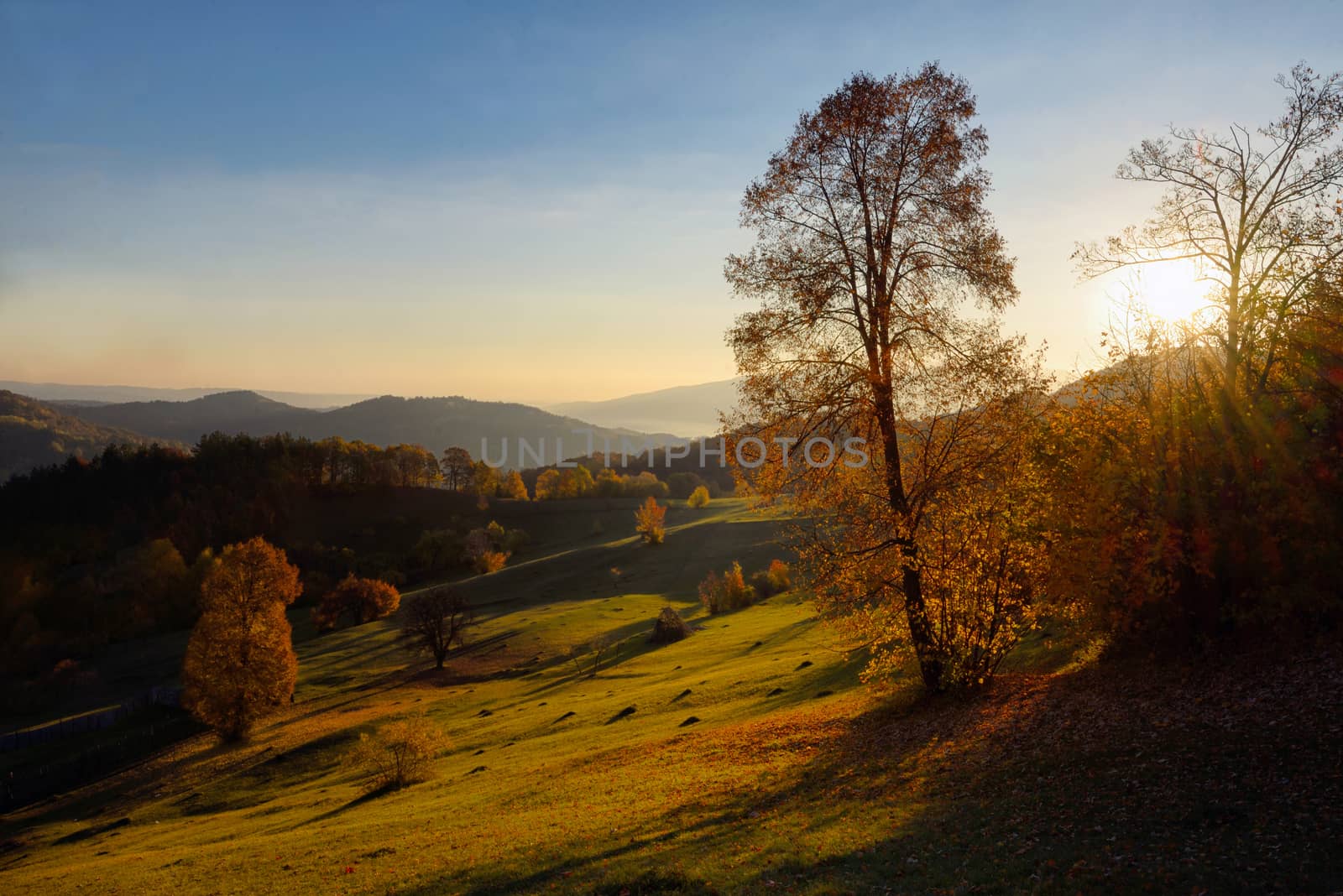 Colorful autumn landscape in romanian mountain 