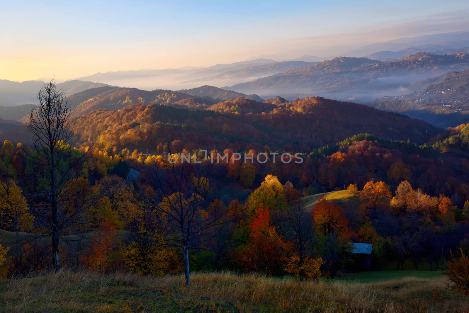 Colorful autumn landscape in romania by mady70