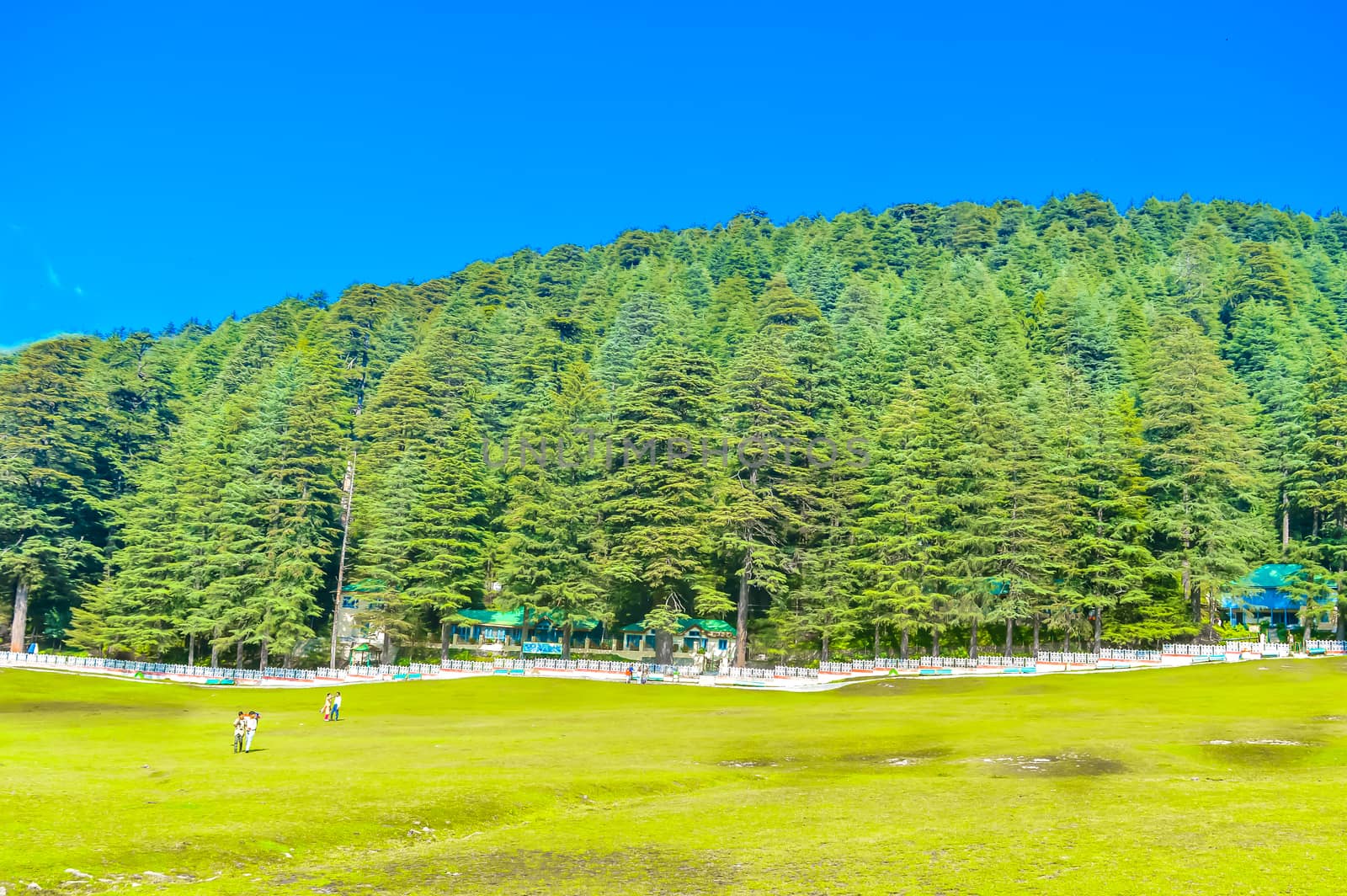 landscape of grass field in park or garden surrounded with green tree this place for relaxing exercise running or walking in park with moving cloud above blue sky