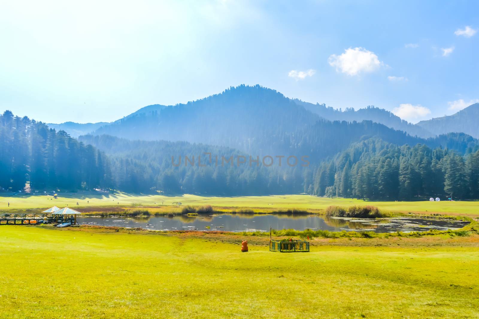 landscape of grass field in park or garden surrounded with green tree and water pond this place for relaxing exercise running or walking in park with moving cloud above blue sky vacation concept