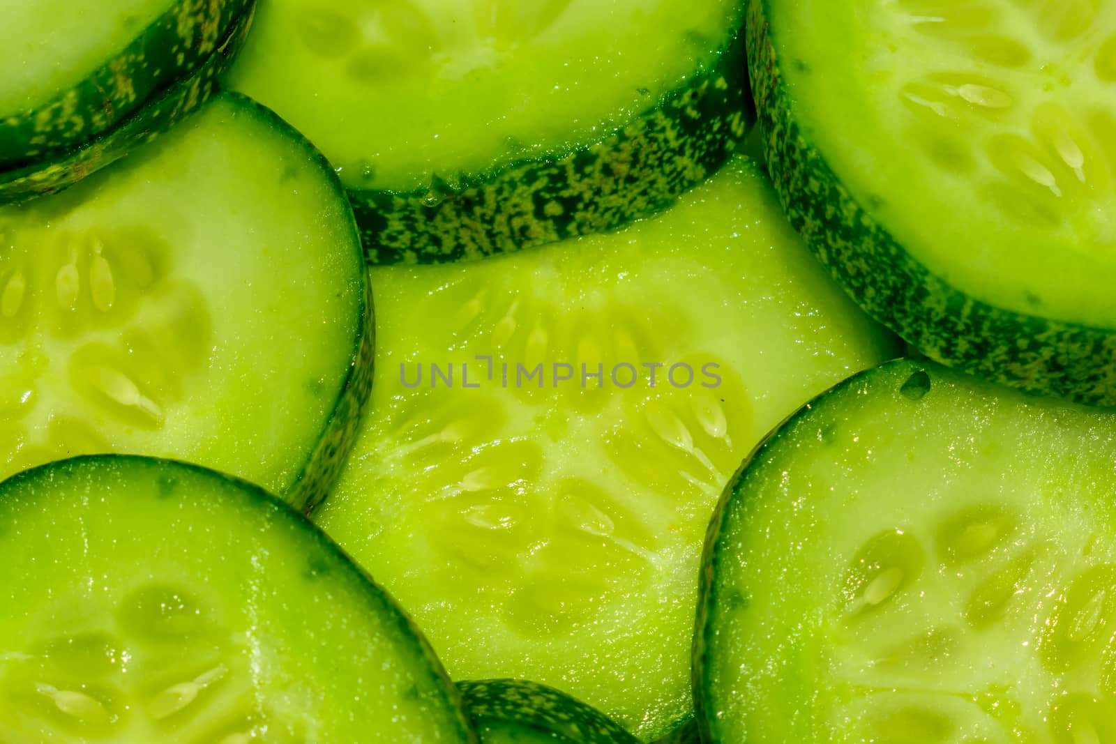 Cucumber and slices isolated over white background. by sudiptabhowmick
