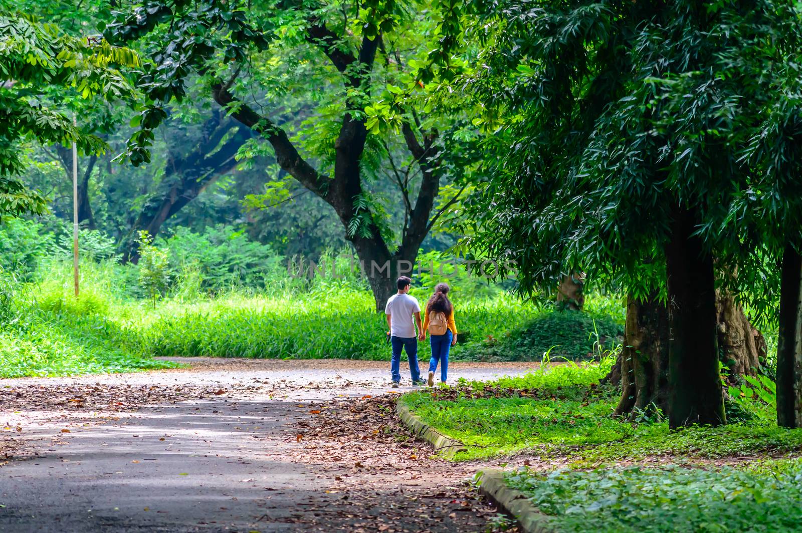 Happy married Cute couple walking in the park. Love relationship and dating concept.