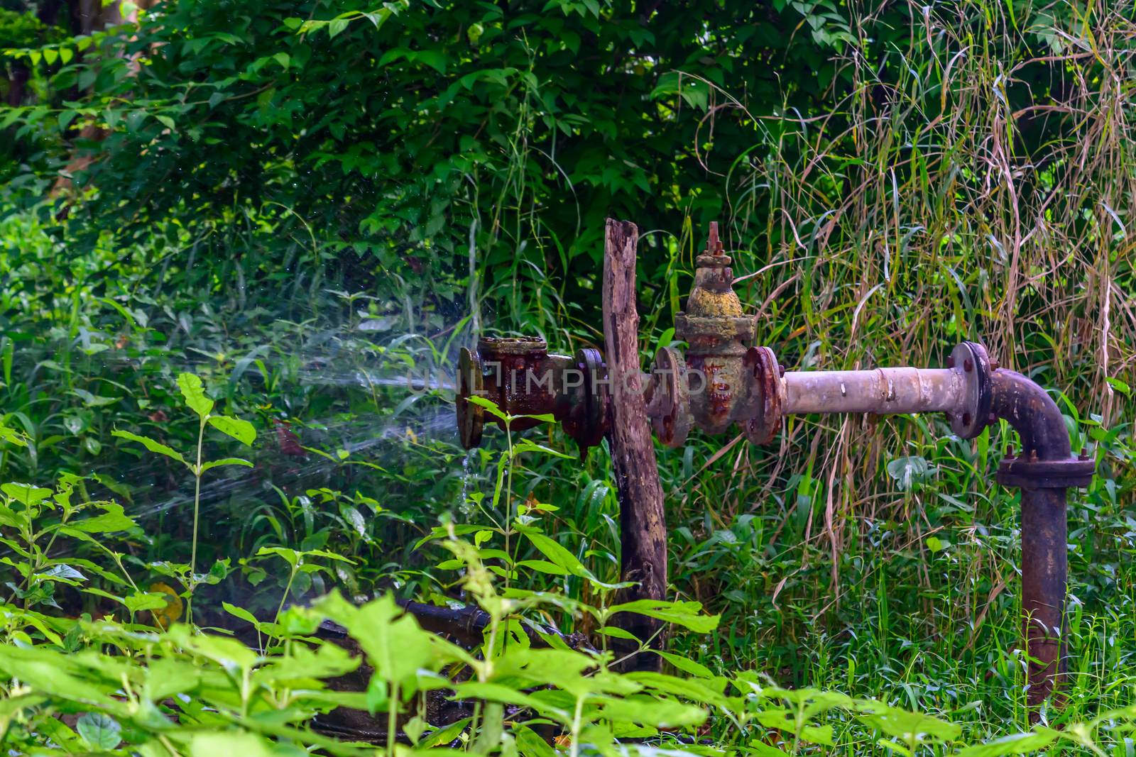 Old iron Metallic water pipe leaking. by sudiptabhowmick