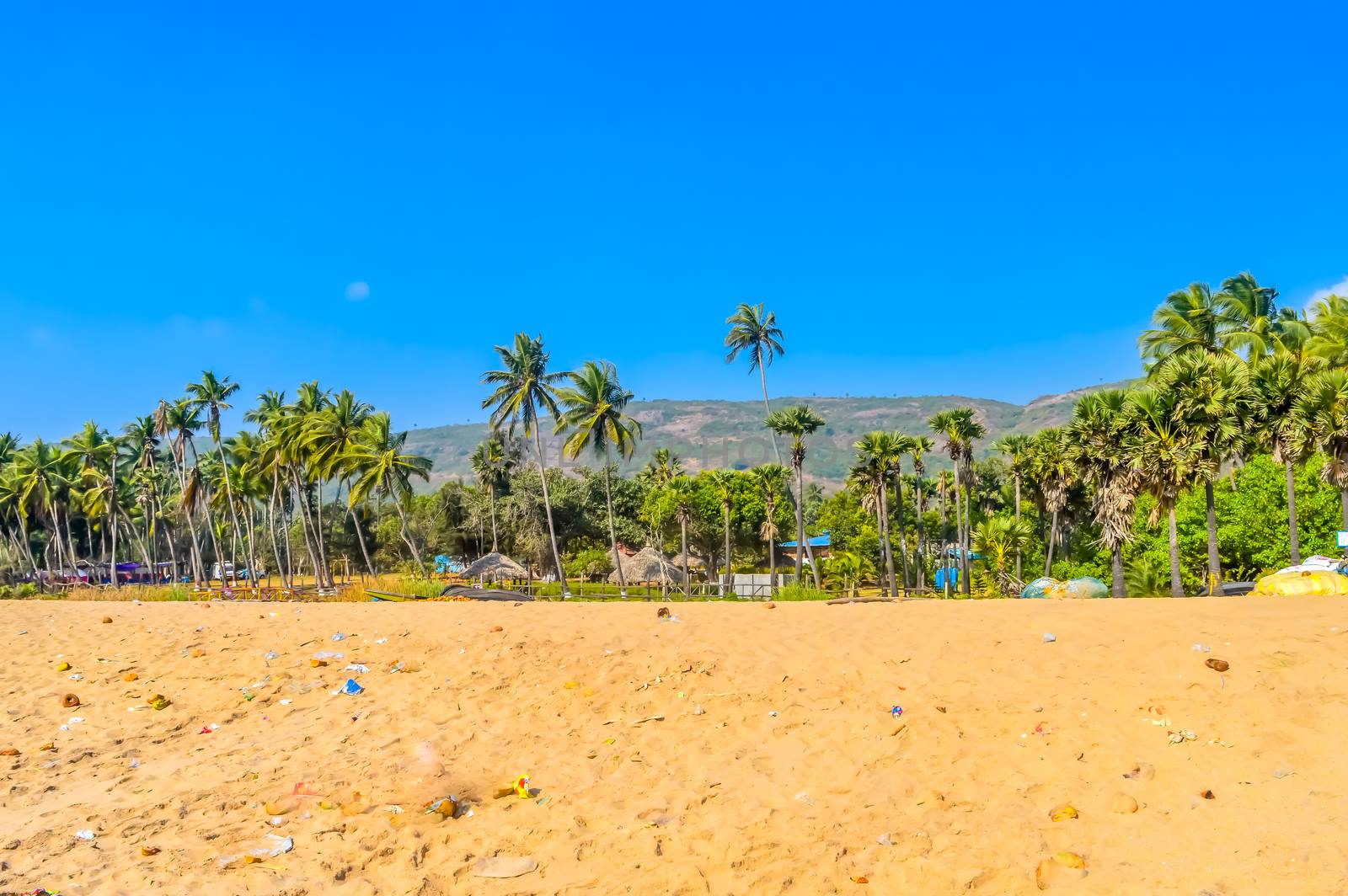 Wild Empty Tropical beach, blue sky, yellow sand, sunlight reflections taken in landscape style may be used as a background, wallpaper, screen saver banner Travel vacation concept. The image is exciting, bright, sensational, tranquil, calm, stunning.