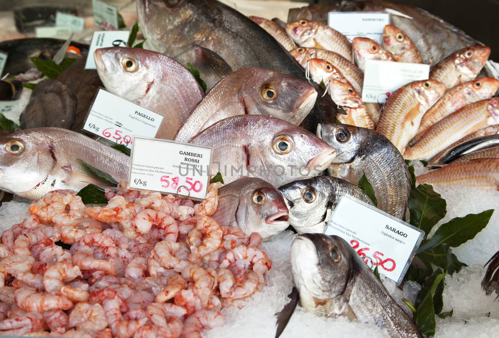 Fresh fish and clams in a market in Milan