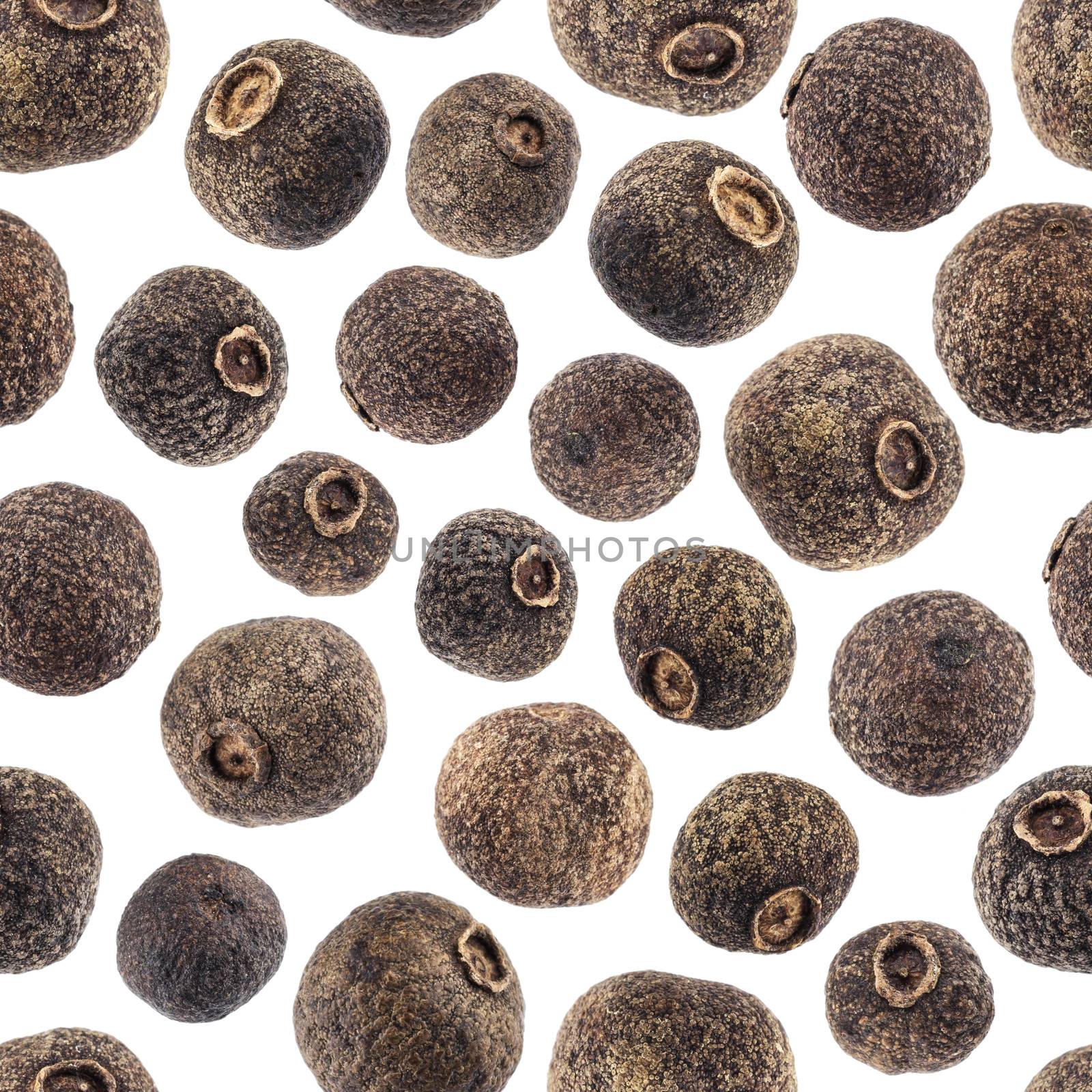 Allspice isolated on white background closeup, seamless pattern
