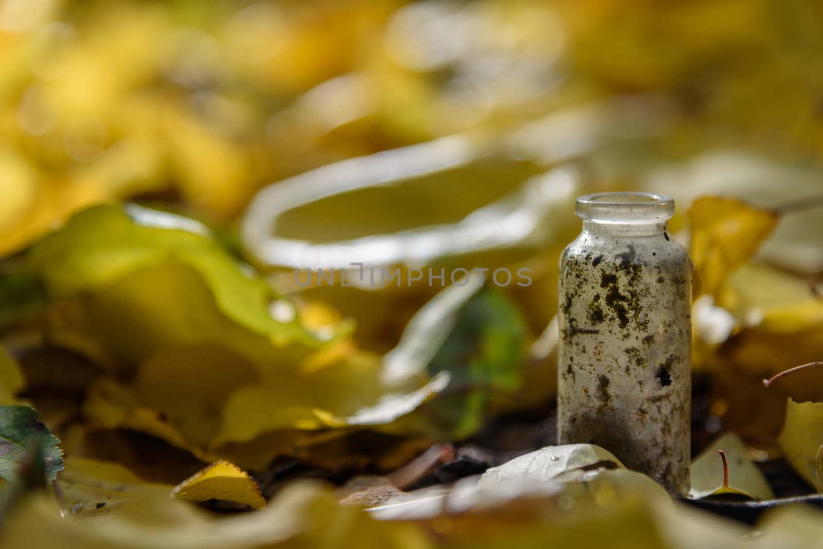 Glass of bottle dirty old autumn leaves background