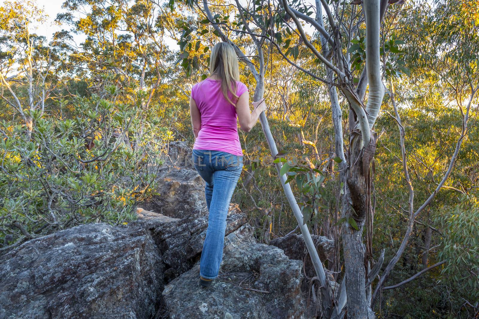 Standing high up on rock ledge  in the tree canopy by lovleah