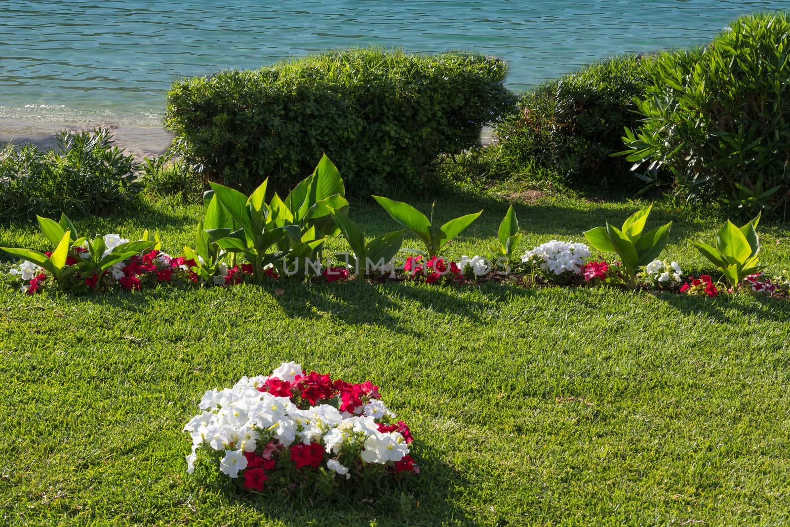 Lush flowerbeds in the summer garden. A bright sunny day. in the background the sea.