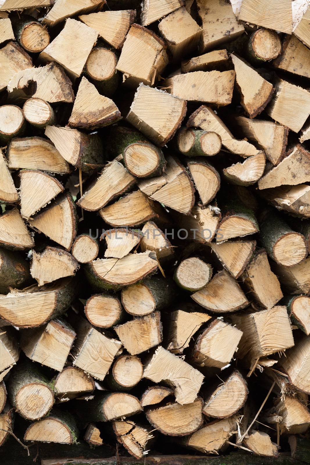 Pile of Wood by Kartouchken
