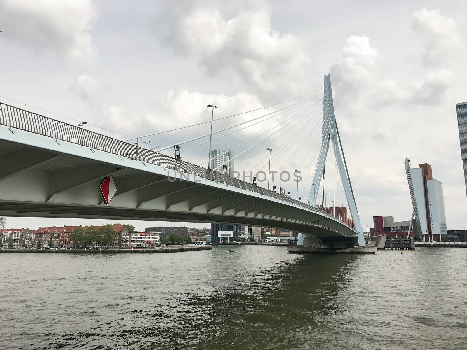 The Rotterdam Skyline with the Erasmusbrug bridge, Netherlands.