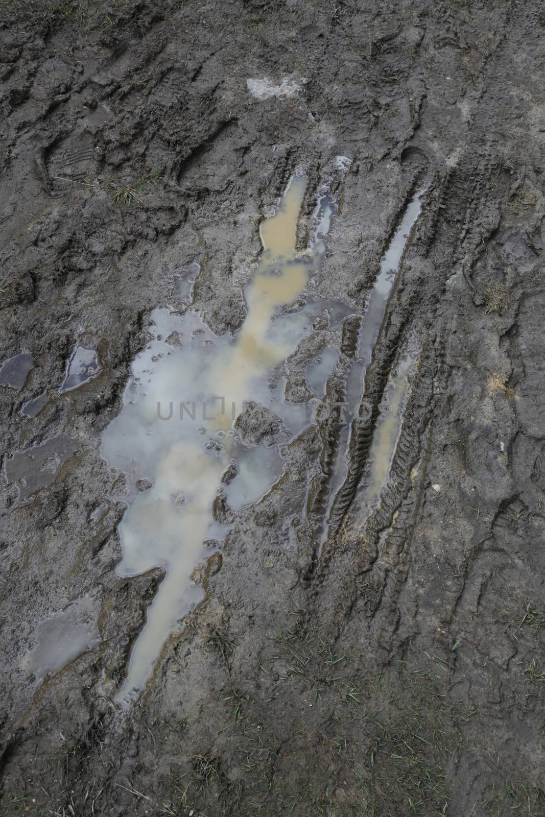 Mountain bike traces in the wet mud