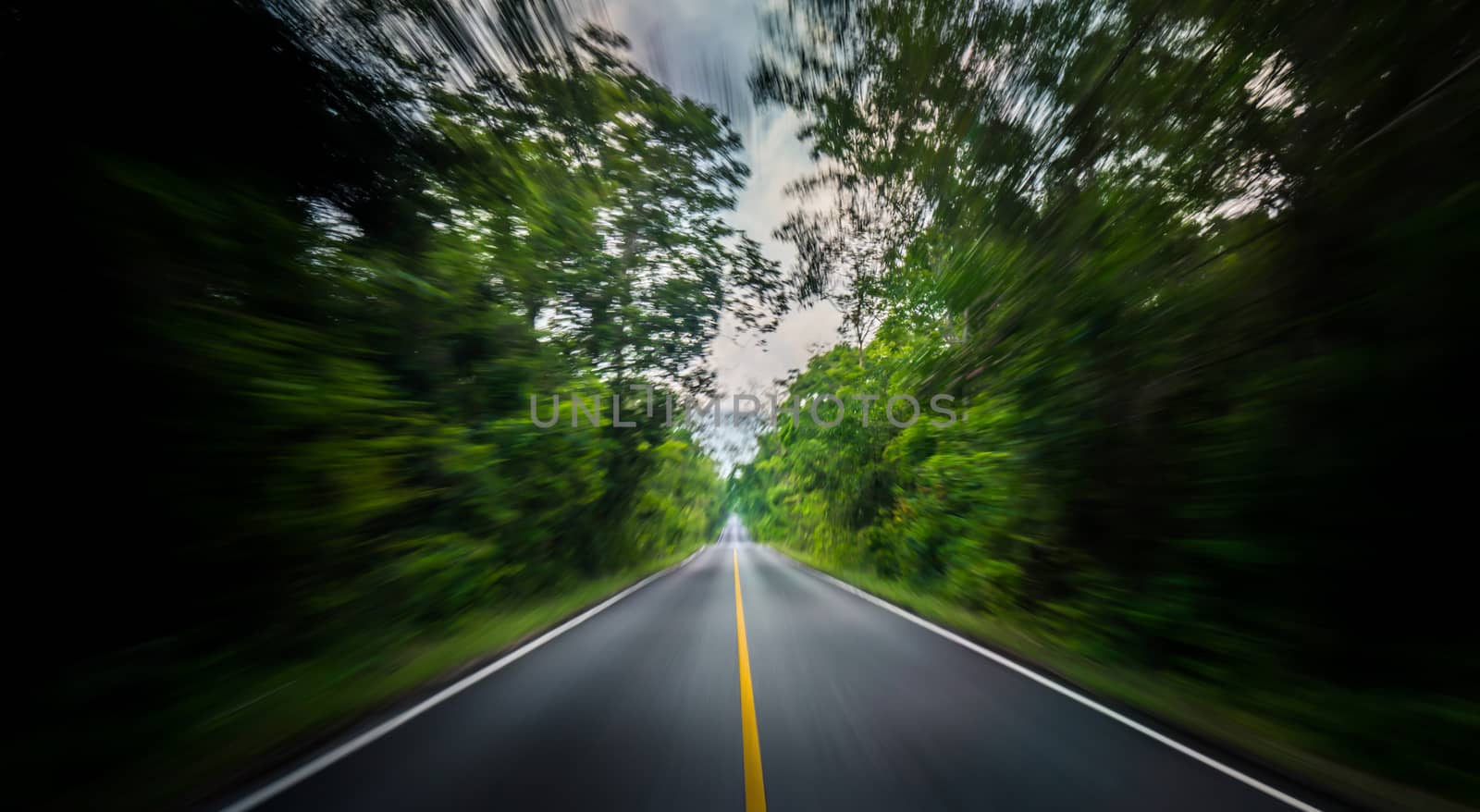 Empty asphalt road and speed motion blur on highway in summer with green trees forest at countryside by Fahroni