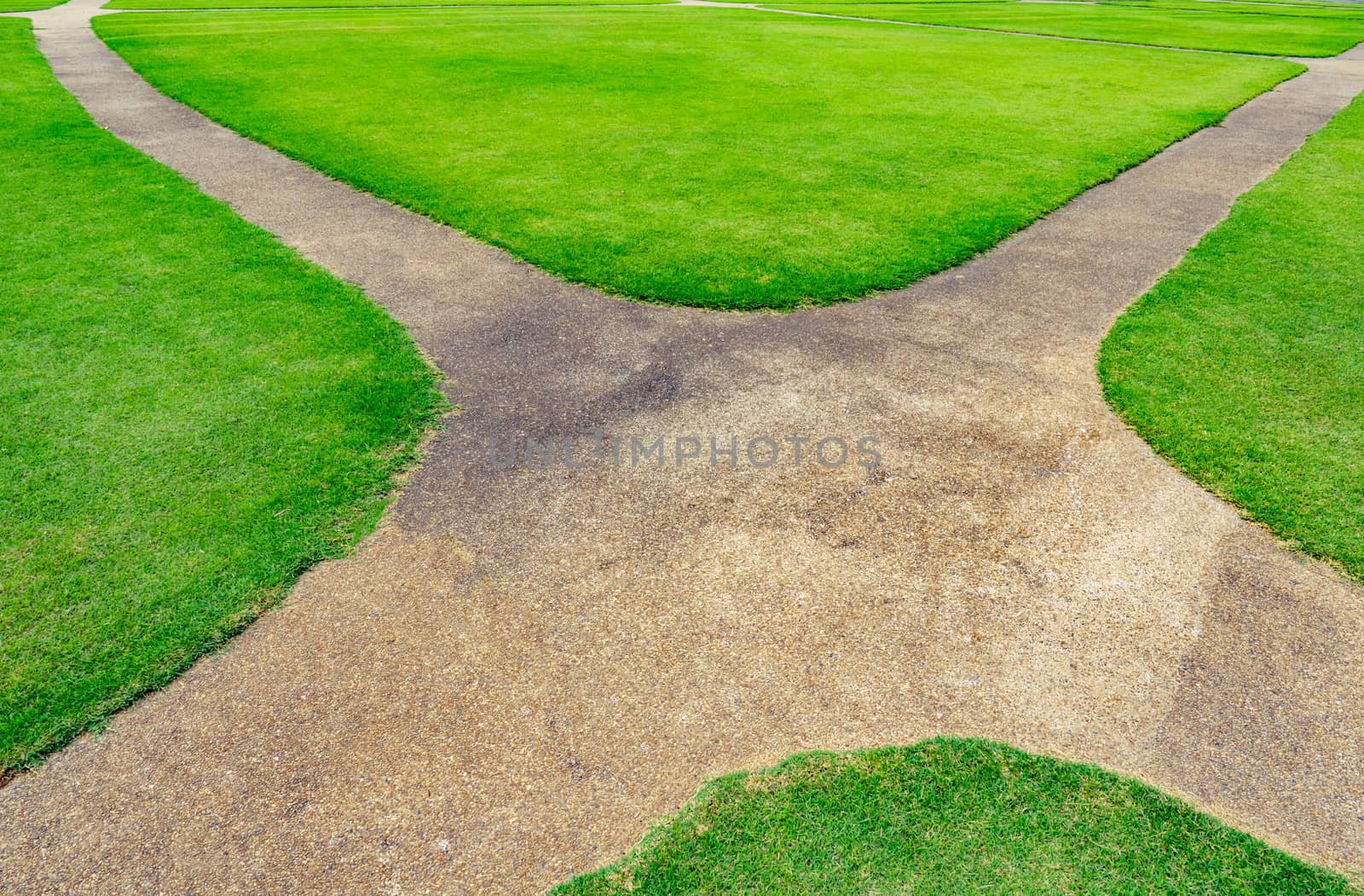 Pathway on the green lawn texture background. Intersection walkway by Fahroni