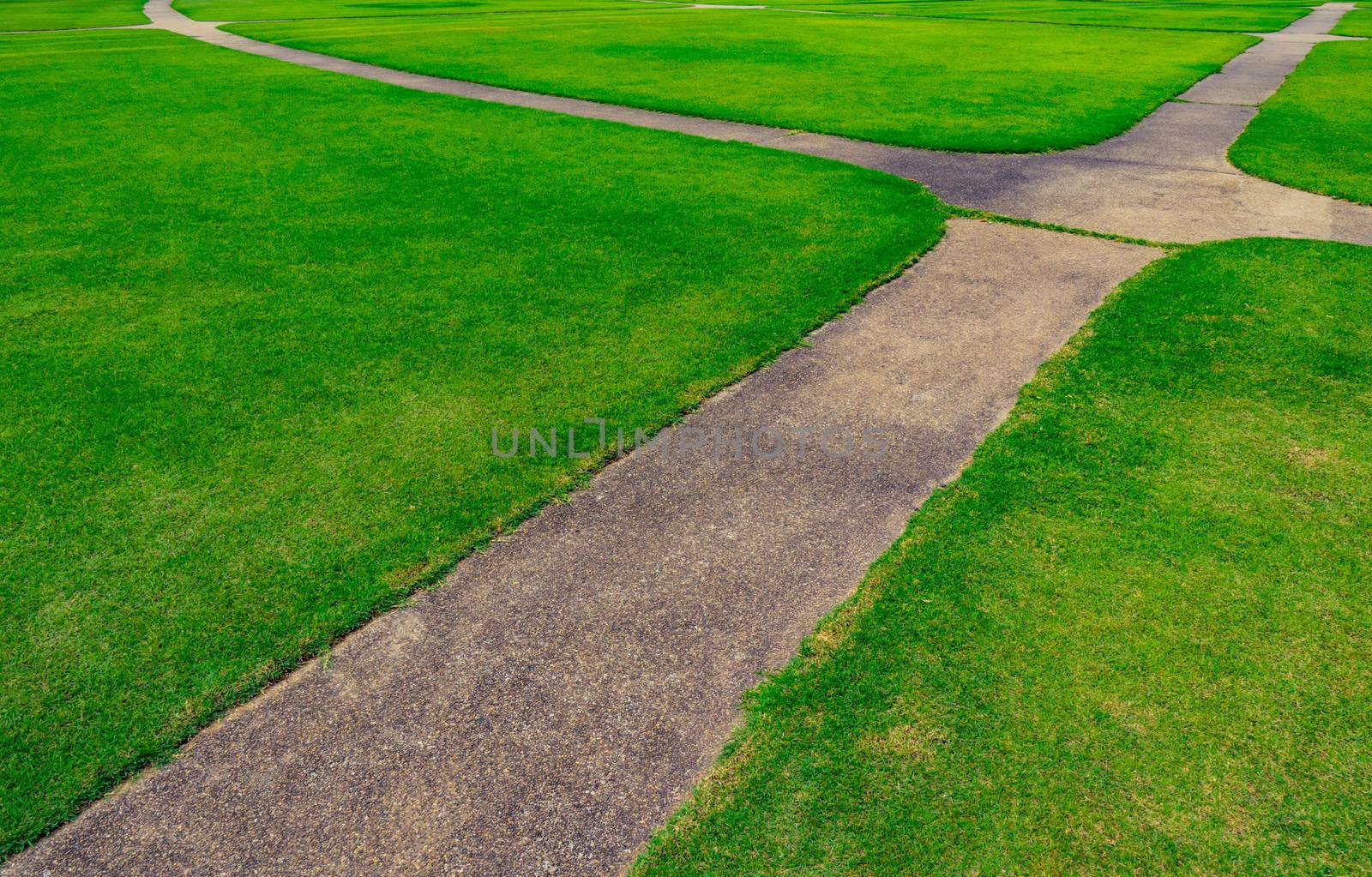 Green grass field with line pattern texture background and walkway by Fahroni
