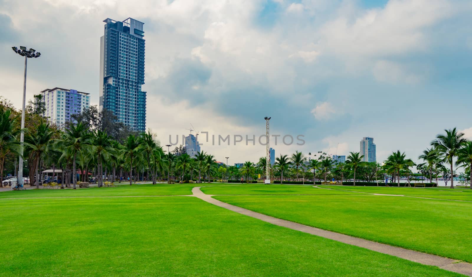 Green grass field, pedestrian road and coconut trees at the city park beside the sea. Modern building background