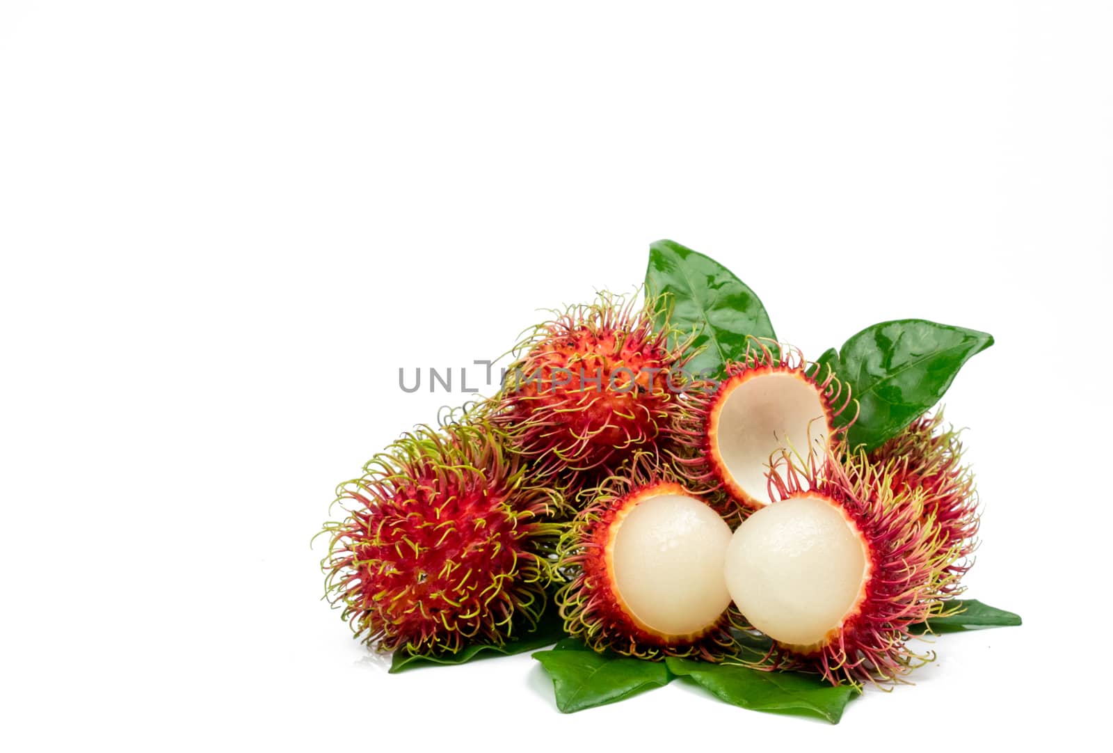 Closeup of fresh red ripe rambutan (Nephelium lappaceum) with leaves isolated on white background. Thai dessert sweet fruits. Tropical fruit.