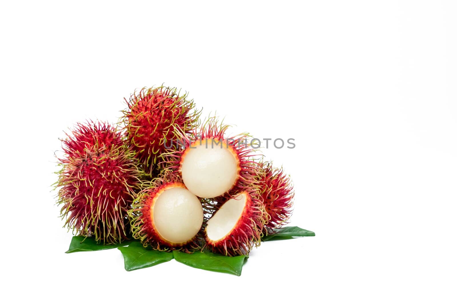 Closeup of fresh red ripe rambutan (Nephelium lappaceum) with leaves isolated on white background. Thai dessert sweet fruits. Tropical fruit.