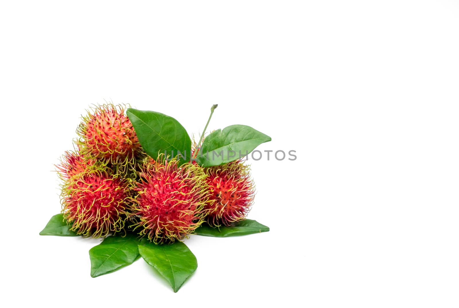 Fresh red ripe rambutan (Nephelium lappaceum) with leaves isolated on white background. Thai dessert sweet fruits. by Fahroni