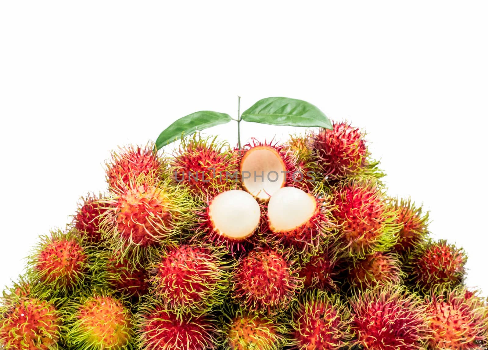 Closeup of fresh red ripe rambutan (Nephelium lappaceum) with leaves isolated on white background. Thai dessert sweet fruits. Tropical fruit. by Fahroni