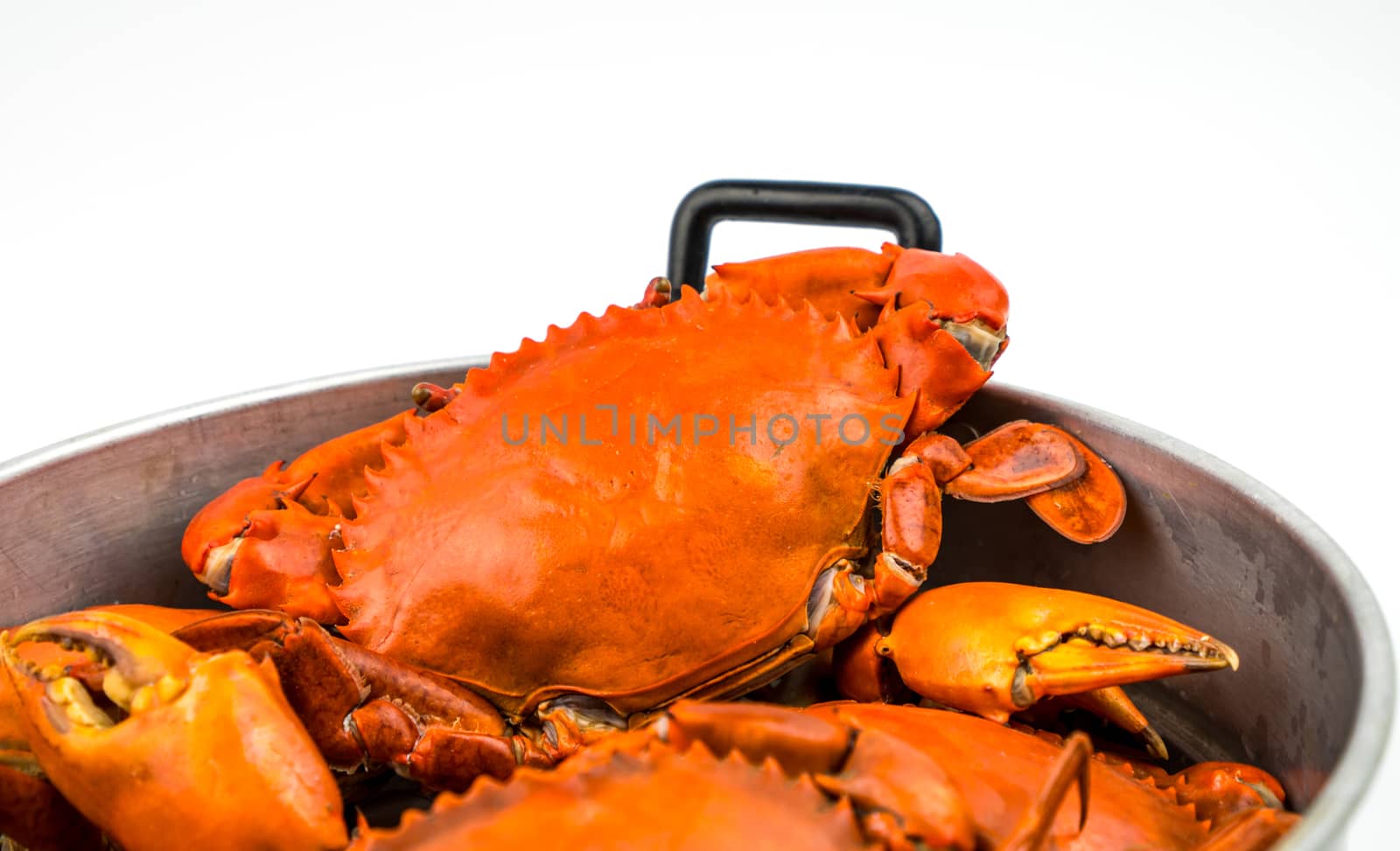 Scylla serrata. Steamed crab in a pot isolated on white background with copy space. Seafood restaurants concept.