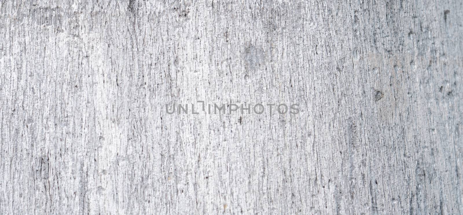 White and grey palm bark texture. Unique pattern abstract background.