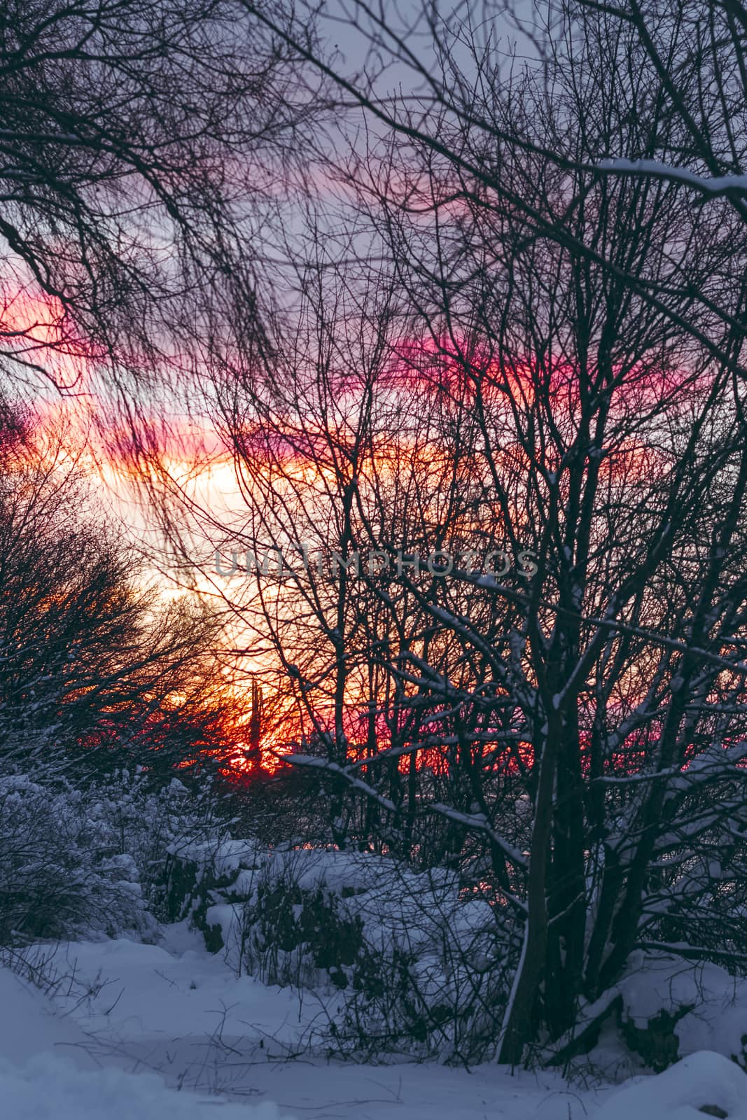 Colorful winter sunrise with purple and orange clouds