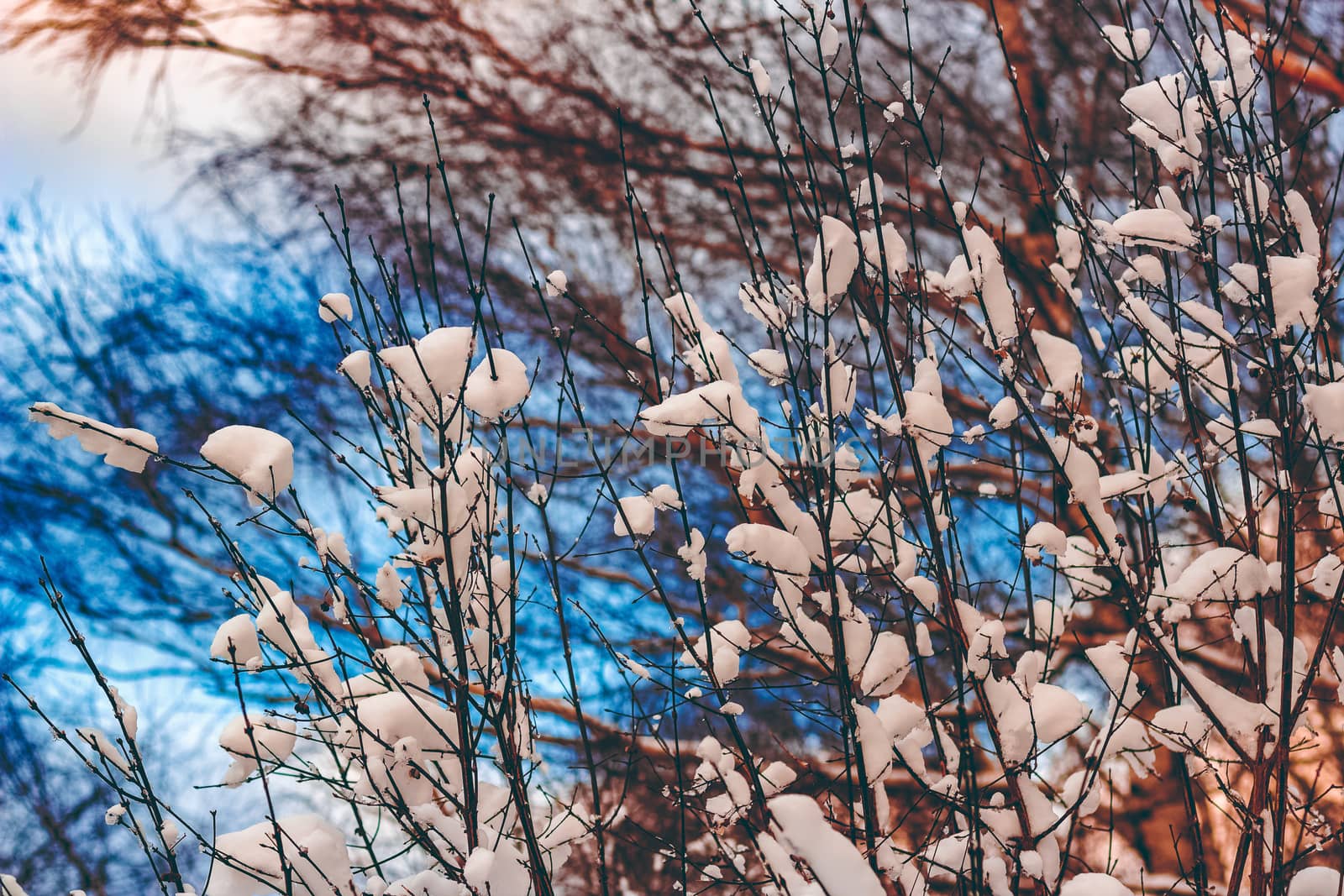 Cold winter snowy landscape at middle of the day