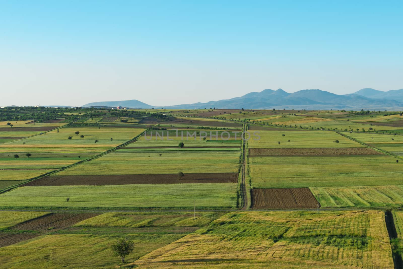 Field views before harvest by crazymedia007