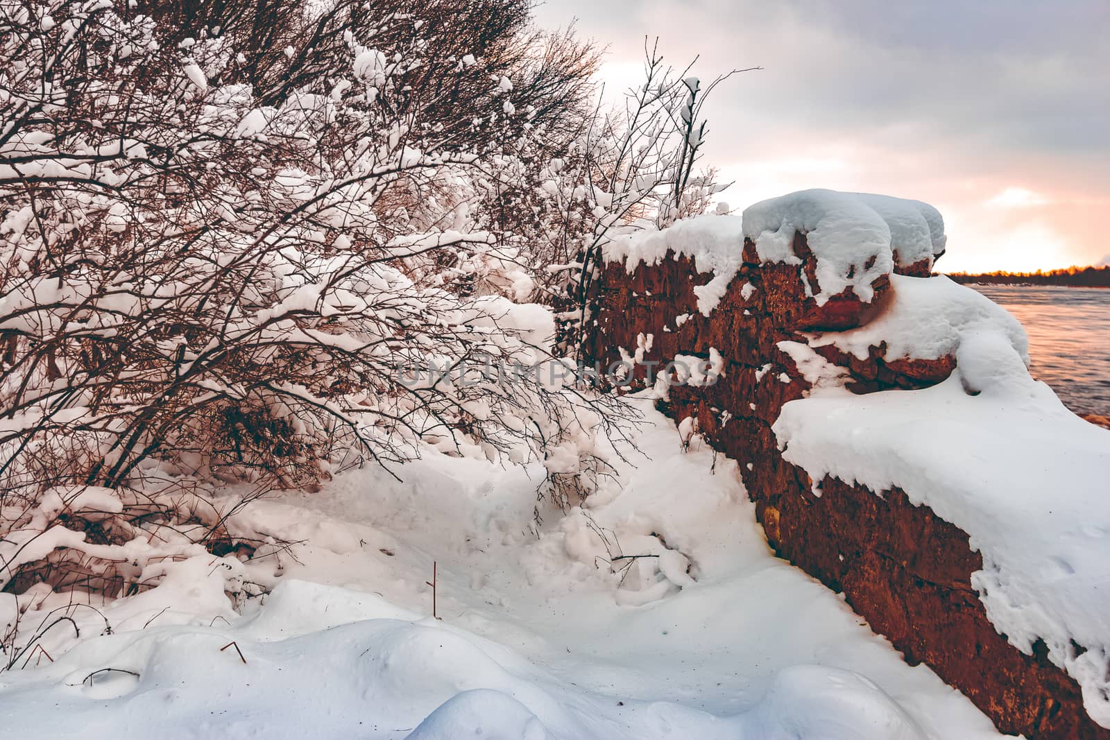 Cold winter snowy landscape at middle of the day