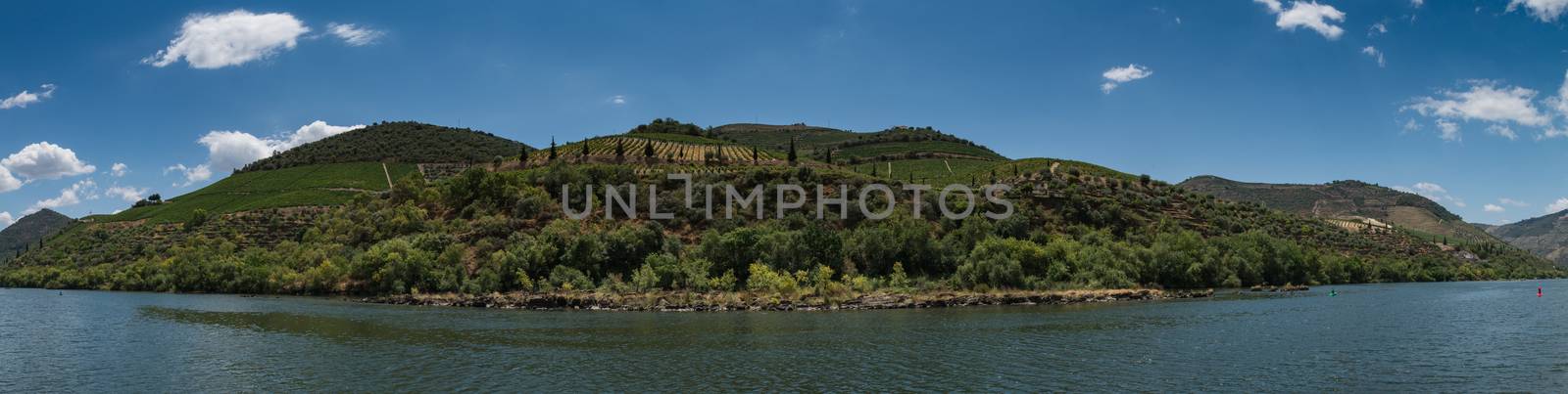 Vineyars in Douro Valley by homydesign