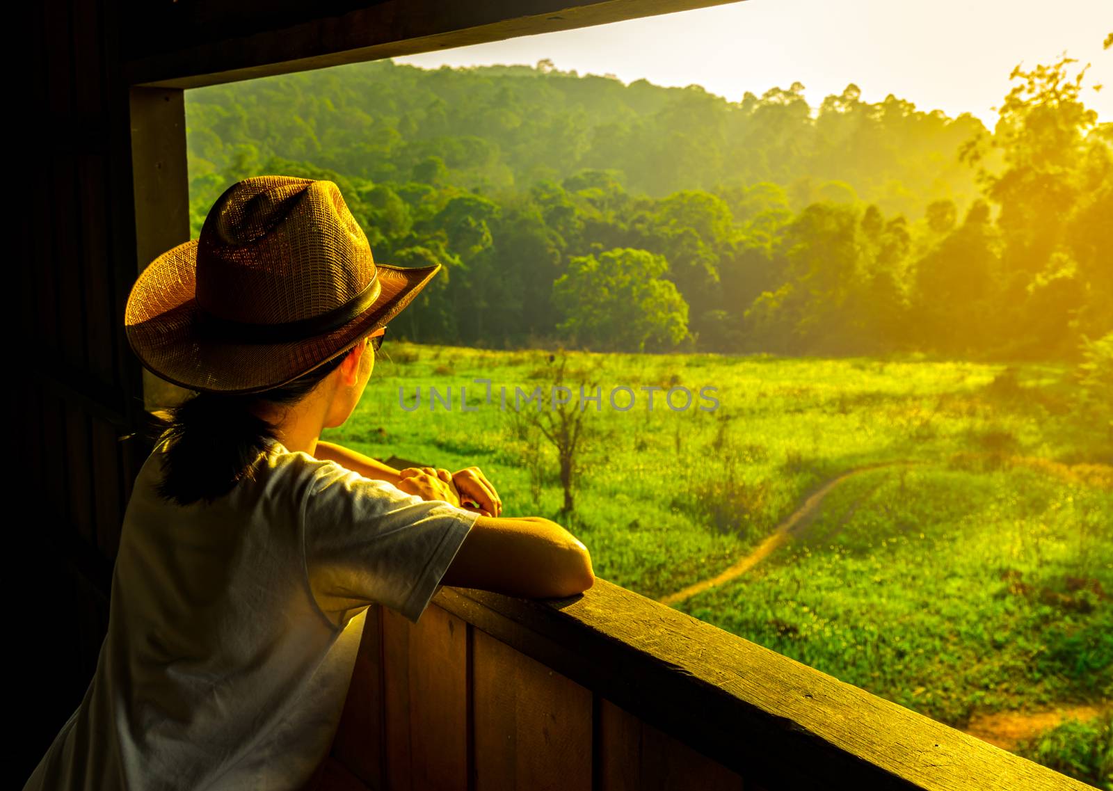 Young Asian woman wear the hat sit and watching beautiful view of green grass field and forest at wildlife observation tower in the evening with warming sunlight. Travel concept. by Fahroni